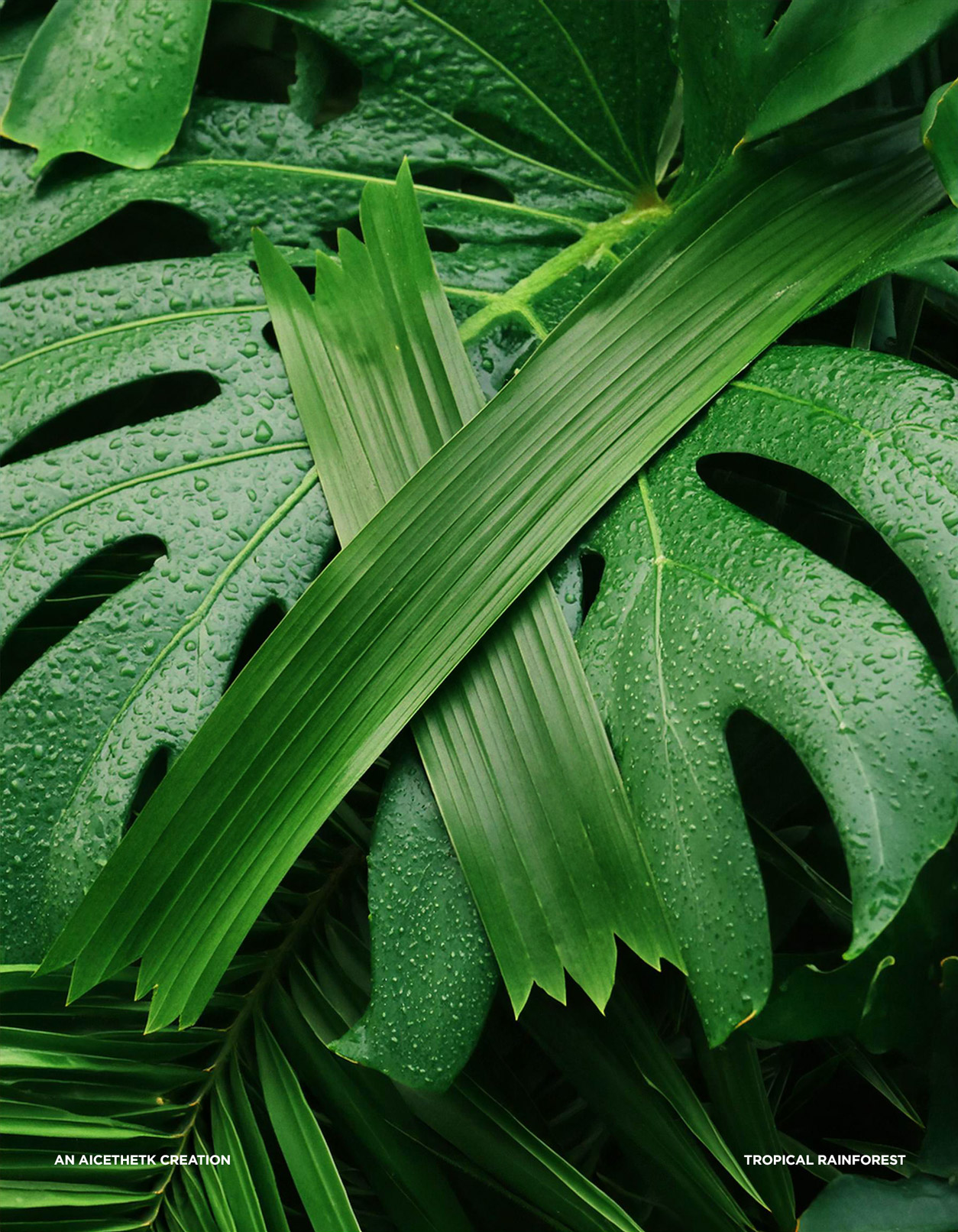 Generative AI 3D lettering Typography, Letter X by Allan Chan. Tropical leaves.